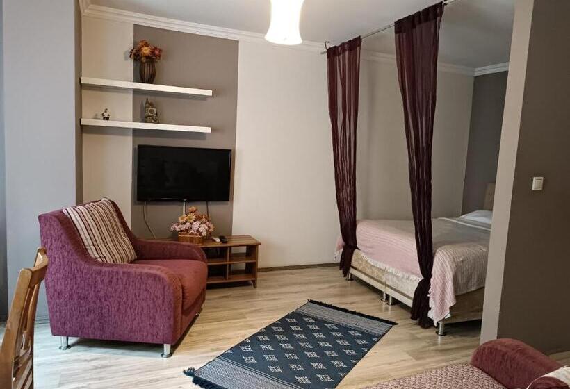 استودیوی استاندارد, The City Residence