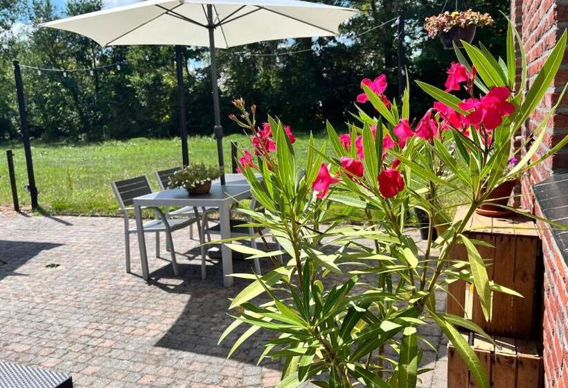 스탠다드 룸 킹사이즈 침대, Bed And Breakfast De Beekhoek