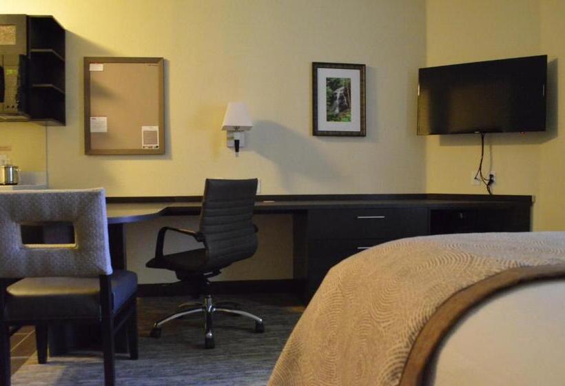 Студия Стандарт, Candlewood Suites San Antonio Airport, An Ihg