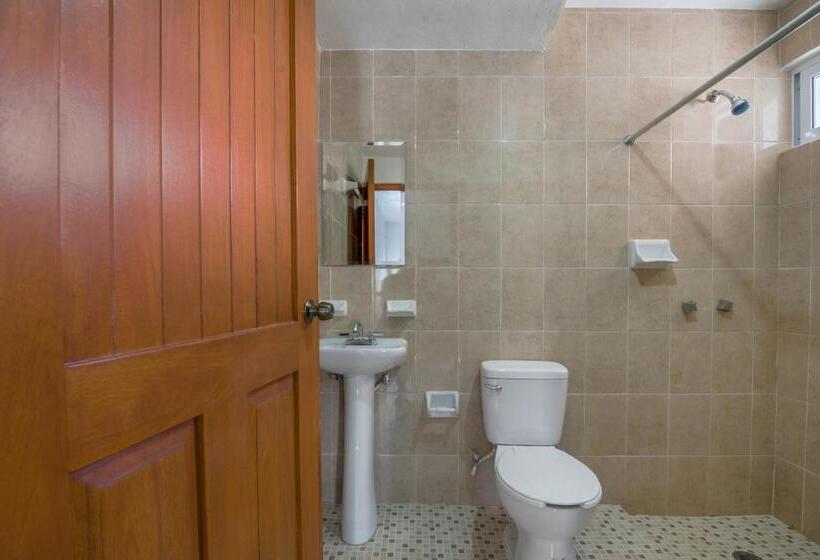 스탠다드 룸, OYO Hotel Palma Real