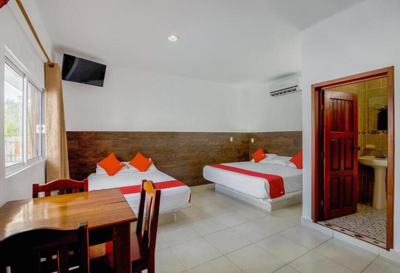스탠다드 룸, OYO Hotel Palma Real