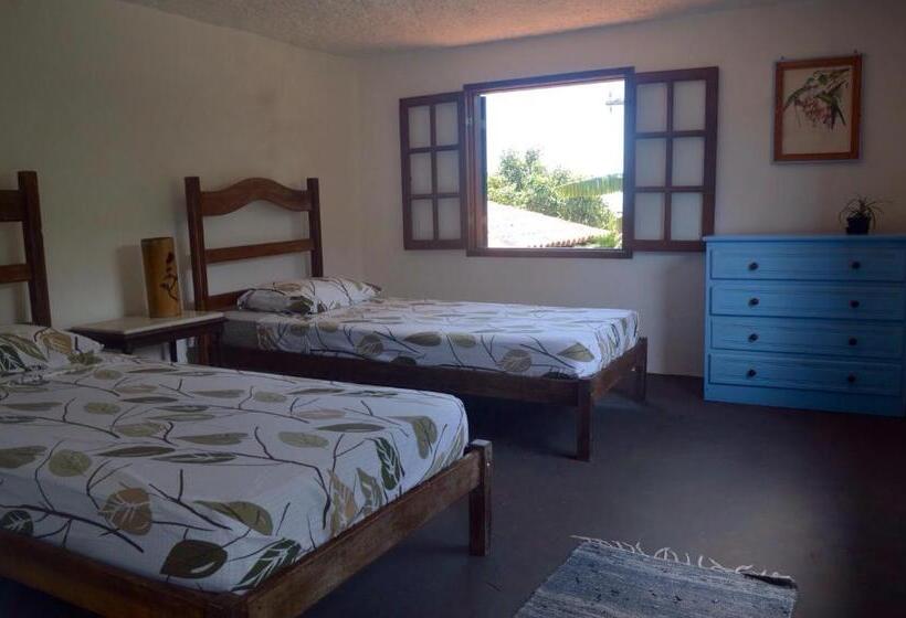 스탠다드 룸, Casa Dos Arcos Bed And Breakfast