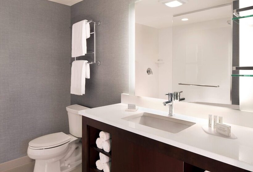 标准工作室, Residence Inn By Marriott Miami Airport West/doral