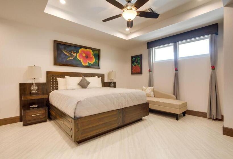 استودیوی استاندارد, Grand Caribe Belize