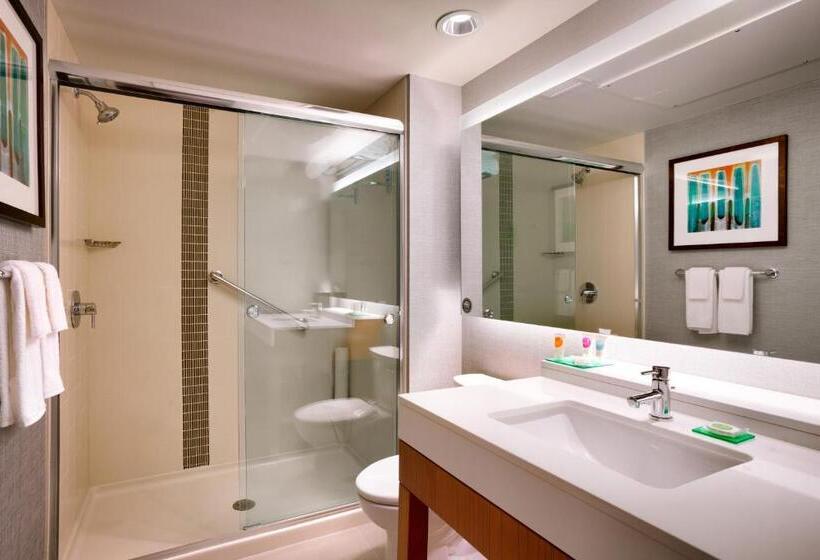 Стандартный Номер Кровать Кинг, Hyatt Place Salt Lake City/lehi