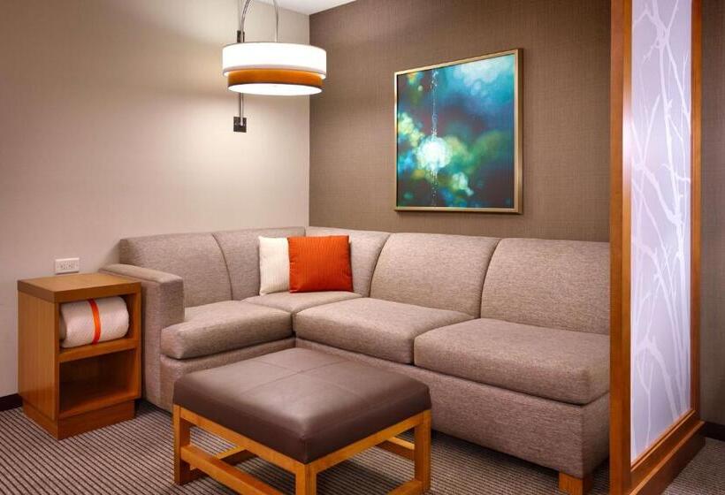 Номер Стандарт Верхний Этаж, Hyatt Place Salt Lake City/lehi