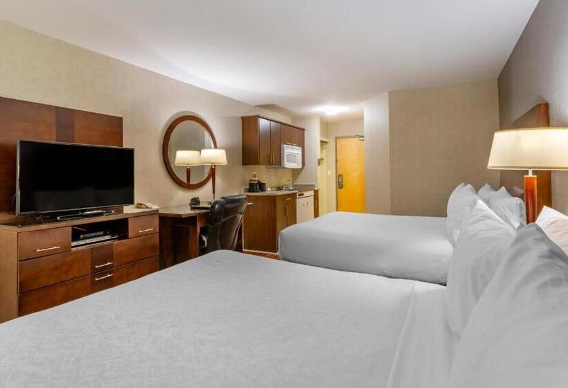 带2个双人床的标准工作室, Devonian Hotel And Suites
