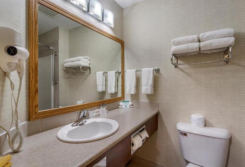 标准间, Devonian Hotel And Suites