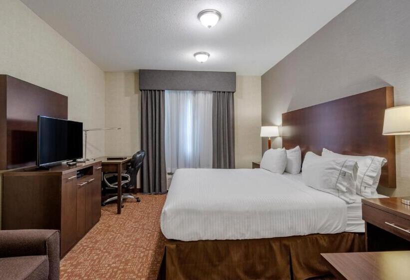 带大床的套房, Devonian Hotel And Suites