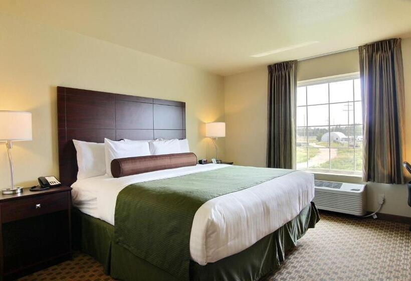 스탠다드 룸 킹사이즈 침대, Cobblestone Inn & Suites  Linton