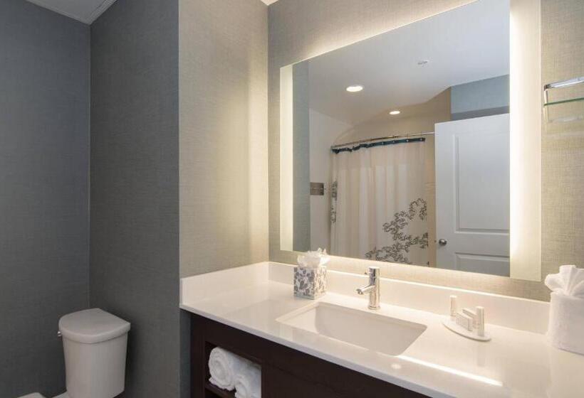 套房, Residence Inn Raleigh Durham Airport/brier Creek
