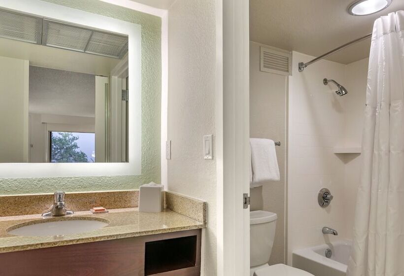 Номер Стандарт 2 Двуспальные Кровати, Wyndham Garden Lake Buena Vista Disney Springs® Resort Area