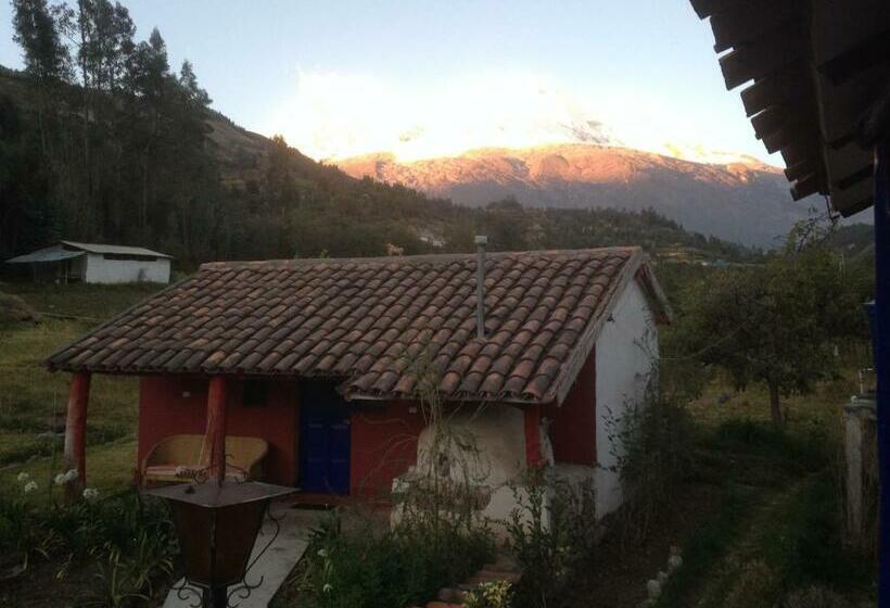 اتاق استاندارد, La Casita De Mi Abuela