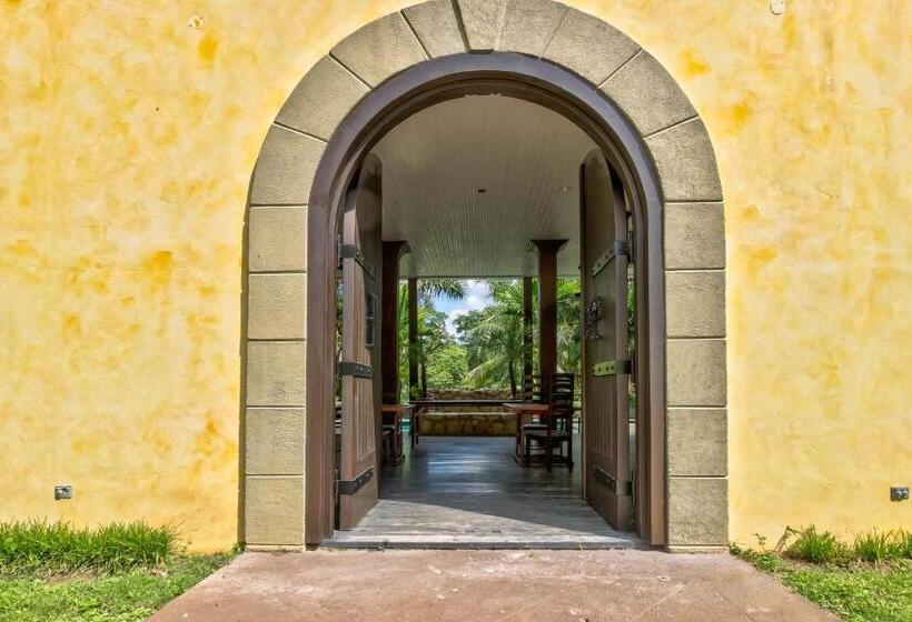 סוויטה, Toucan Suite @ Mahogany Hall