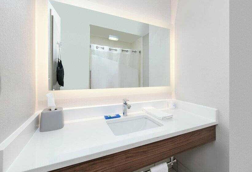 스탠다드 룸, Holiday Inn Express Hotel & Suites Pell City By Ihg
