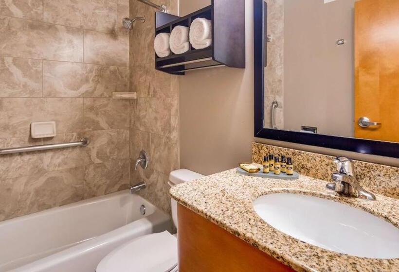 חדר סטנדרט, Best Western Plus Hyde Park Chicago