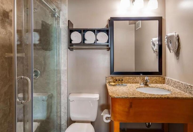 מיטת קינג בסוויטה, Best Western Plus Hyde Park Chicago