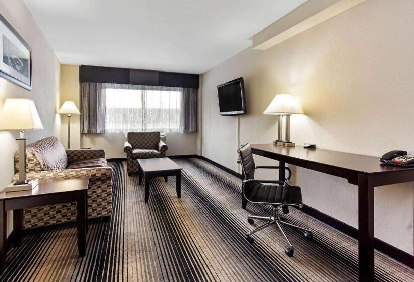 סוויטה, Best Western Plus Hyde Park Chicago