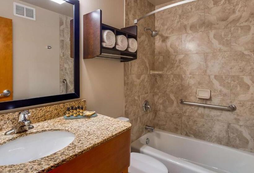 חדר אקזקיוטיב, Best Western Plus Hyde Park Chicago