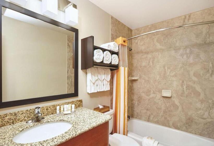 חדר סטנדרט, Best Western Plus Hyde Park Chicago