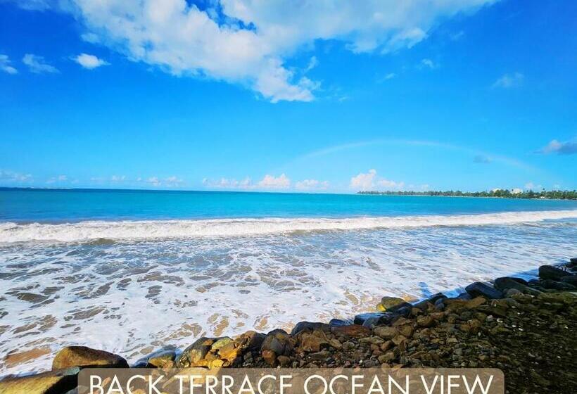 سوئیت با تخت بزرگ, Selva Boutique Hotel   Luquillo Oceanfront Retreat   Adults Only