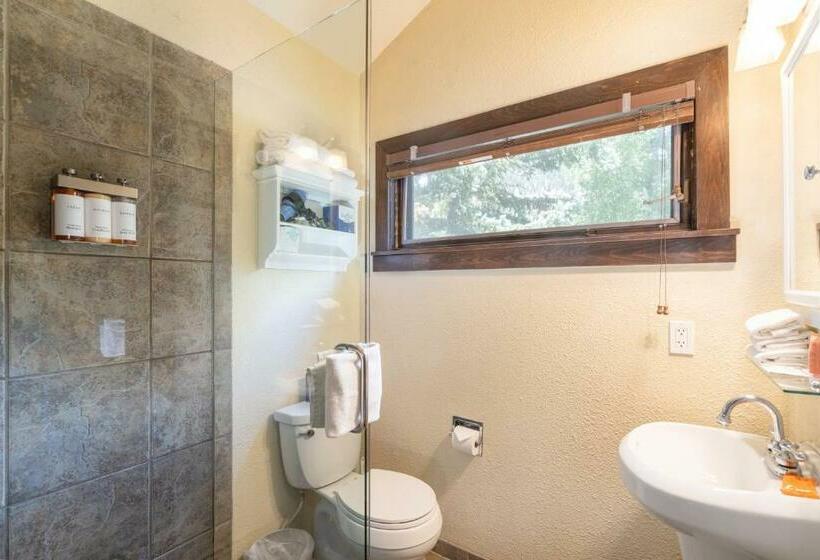 Студия Стандарт, Manitou Lodge 5 Hotel Room By Alpine Lodging Telluride