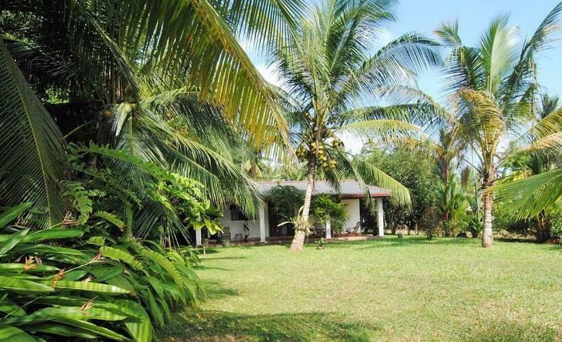 Номер Стандарт Индивидуальный, Mangrove Villa   Yoga & Ayurveda
