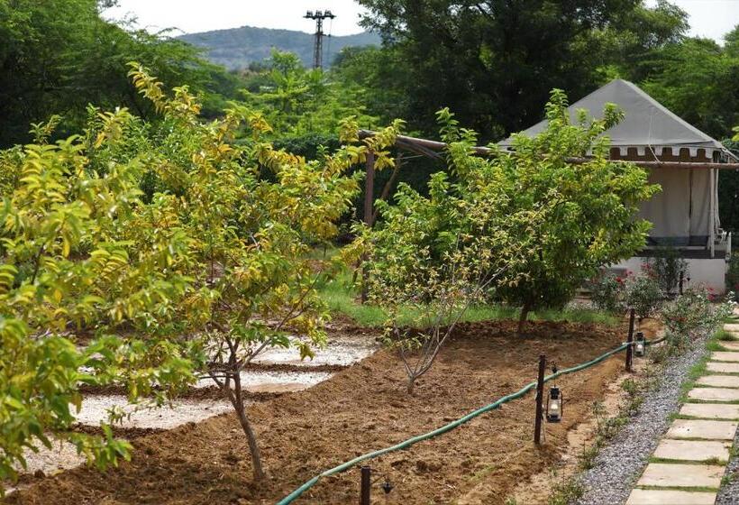 小型套房带泳池景, Paridhi Niwas, Ranthambore  Near Tiger Safari Zones 1 5