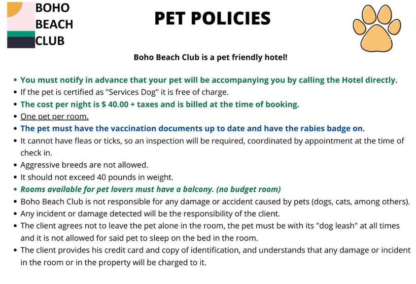스탠다드 룸 킹사이즈 침대, Boho Beach Club