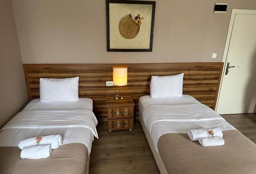 Номер Стандарт, Park Otel
