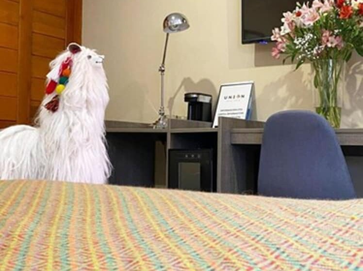 이코노미 룸, Union Hotel Cusco