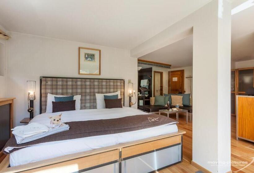 シングルデラックスルーム, Suitenhotel Zurbriggen