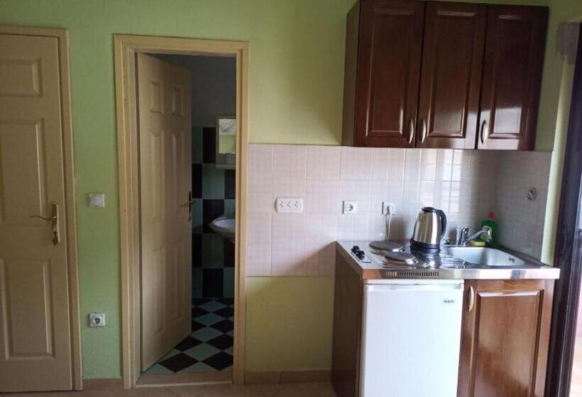 اتاق استاندارد با بالکن و چشم‌انداز دریا, Apartments Normannia