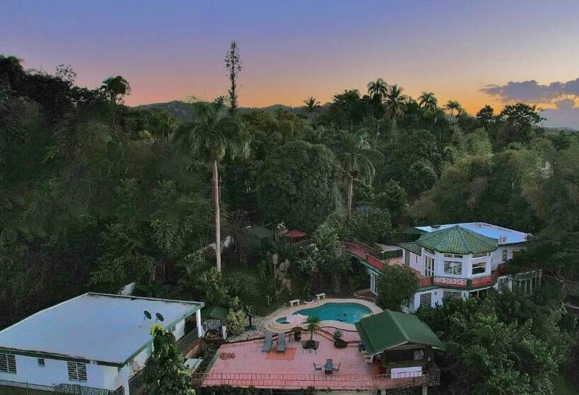 بنگله خانوادگی, Pancho S Paradise   Rainforest Guesthouse With Pool, Gazebo And View