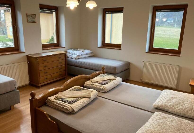 Апартаменты 1 Спальня, Pension Hofberg