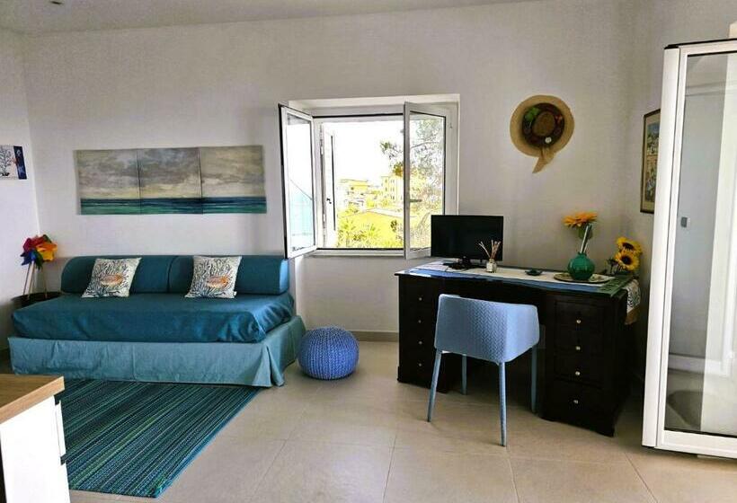 آپارتمان 1 خوابه با چشم‌انداز دریا, Villa Elvira Hollywood Apartment