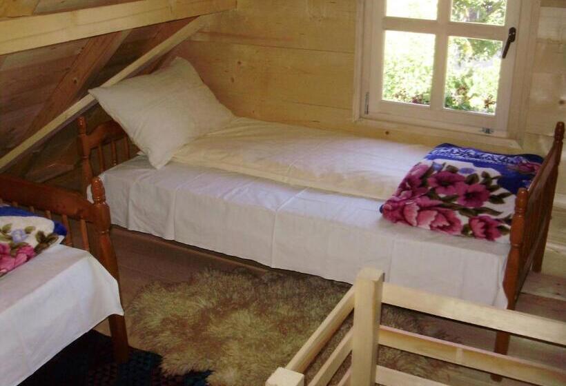 آپارتمان 1 خوابه, Apartments Vila Selena   Golija