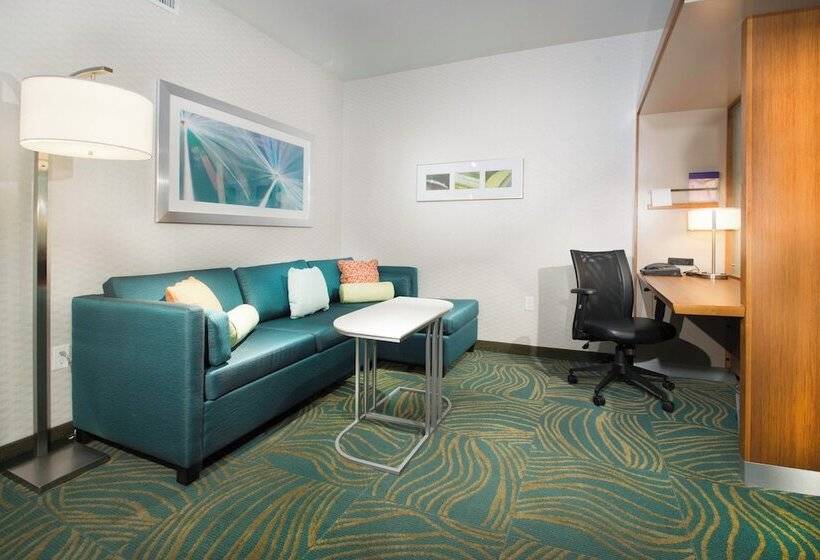 Студия Стандарт Двуспальная Кровать, Springhill Suites By Marriott Houston Westchase