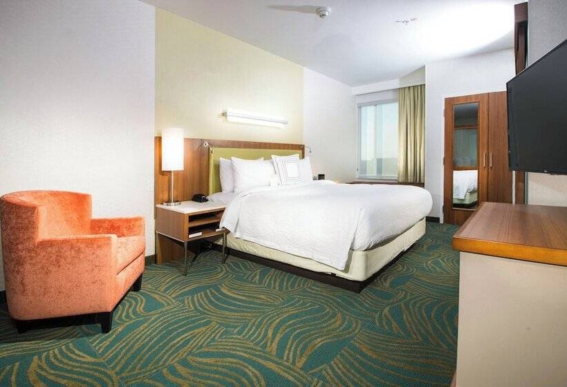 Студия Стандарт Двуспальная Кровать, Springhill Suites By Marriott Houston Westchase