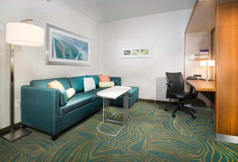 Студио Стандарт Кровать Кинг, Springhill Suites By Marriott Houston Westchase