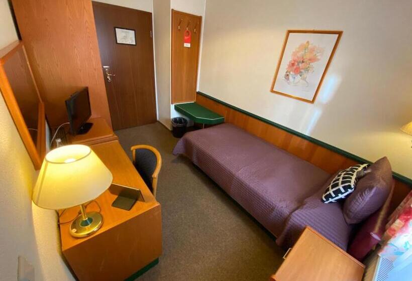 Одноместный Номер Basic, Amadeus Boutique Hotel Deutscher Hof Inn & Suites