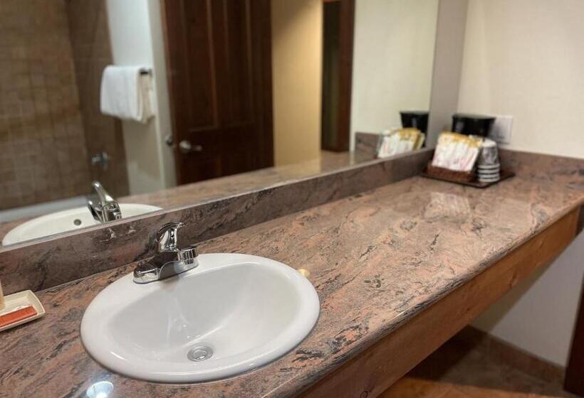 Номер Deluxe Кровать Кинг, Carson Hot Springs Resort & Spa