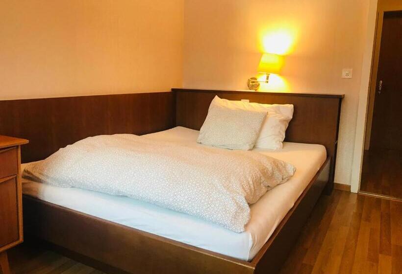 اتاق عادی, Parkhotel Bellevue Lenk
