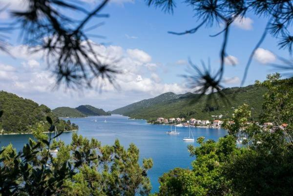 Номер Стандарт Вид на Море, Guest House Busurelo