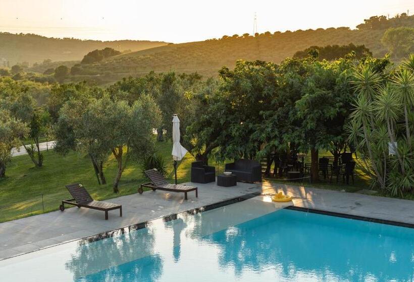 Номер Стандарт Индивидуальный, Agriturismo Costantino