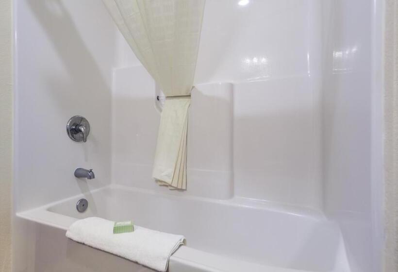 带大床的标准间, Cobblestone Inn & Suites   Big Lake