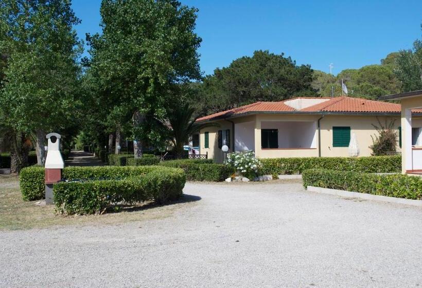 Номер Стандарт Трехместный, Residence Hotel Baia Del Sole