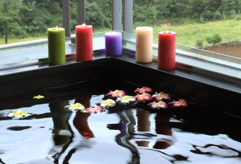 سوئیت با وان آب گرم, Y Resort Jeju