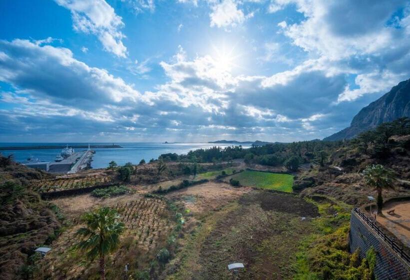 Президентский Люкс, Y Resort Jeju
