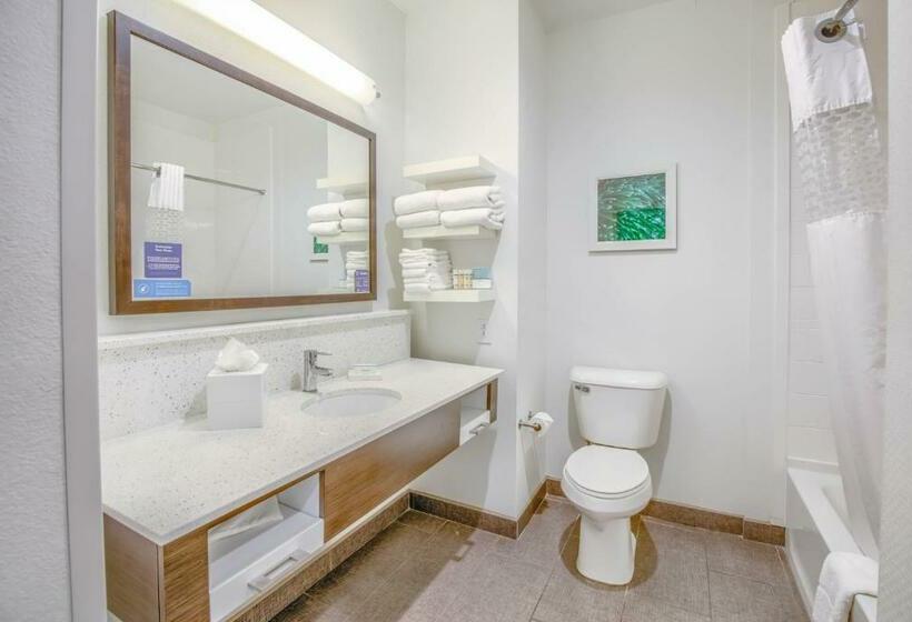 스탠다드 룸 킹사이즈 침대, Hampton Inn Gulf Shores